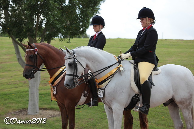 2012 East Coast Arabian Championships - Day 2