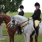 2012 East Coast Arabian Championships - Day 2