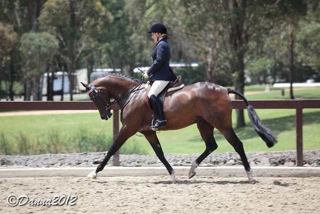 2012 East Coast Arabian Championships - Day 2