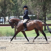 2012 East Coast Arabian Championships - Day 2