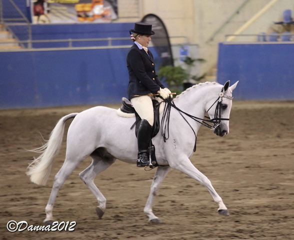 2012 East Coast Arabian Championships - Day 2