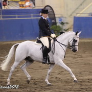 2012 East Coast Arabian Championships - Day 2