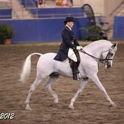 2012 East Coast Arabian Championships - Day 2