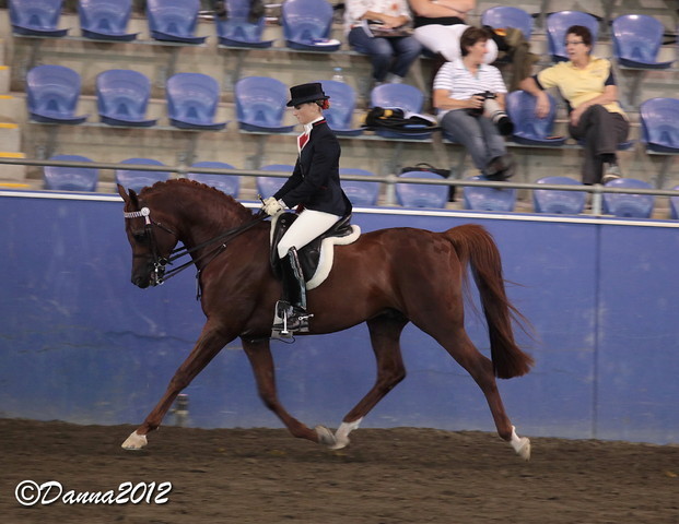 2012 East Coast Arabian Championships - Day 2