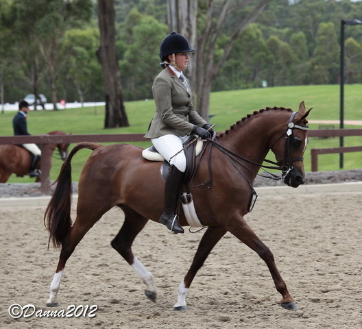 2012 East Coast Arabian Championships - Day 2