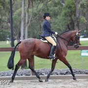 2012 East Coast Arabian Championships - Day 2