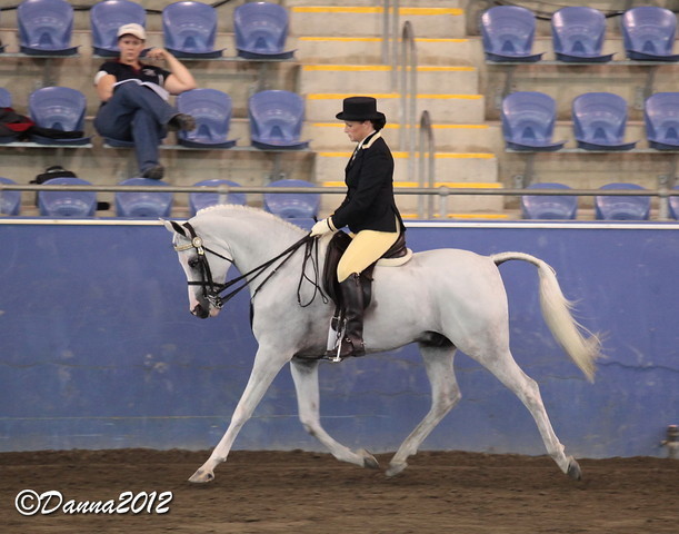 2012 East Coast Arabian Championships - Day 2