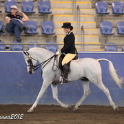 2012 East Coast Arabian Championships - Day 2