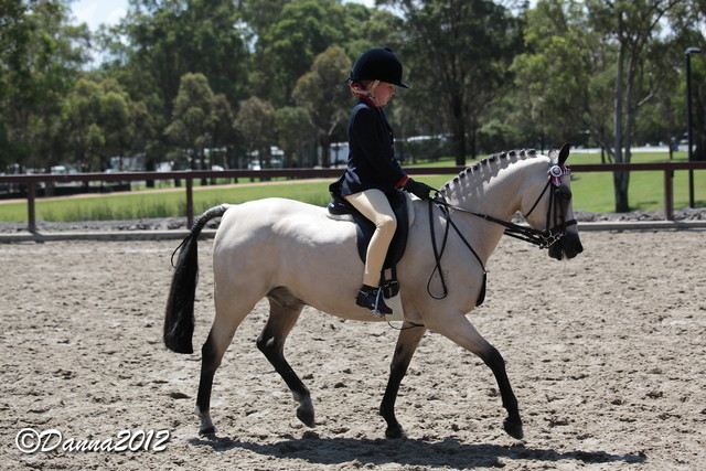 2012 East Coast Arabian Championships - Day 2