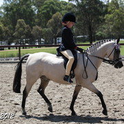 2012 East Coast Arabian Championships - Day 2