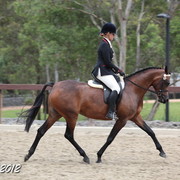 2012 East Coast Arabian Championships - Day 2