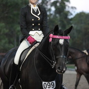 2012 East Coast Arabian Championships - Day 2