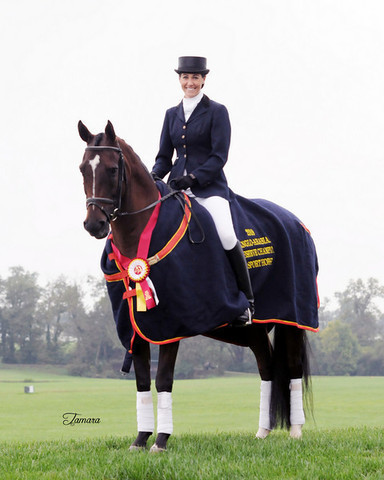 Master Reporter+/ - Katie Henneman and Master Reporter+/