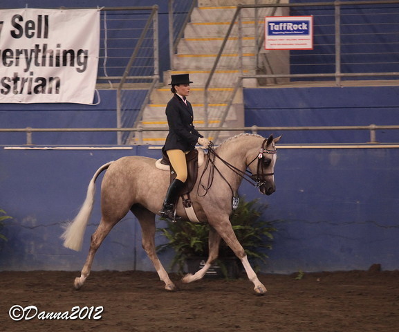 2012 East Coast Arabian Championships - Day 2