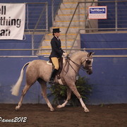 2012 East Coast Arabian Championships - Day 2