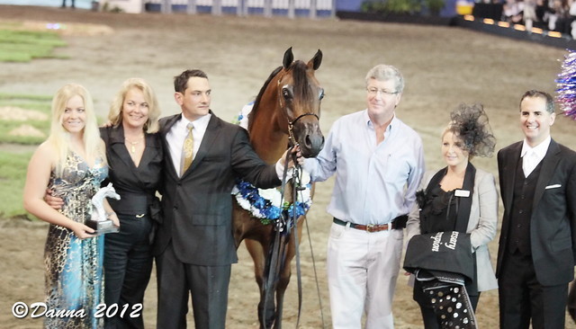 25th East Coast Championship Show - Day 3/ Finals