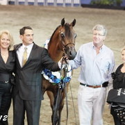 25th East Coast Championship Show - Day 3/ Finals