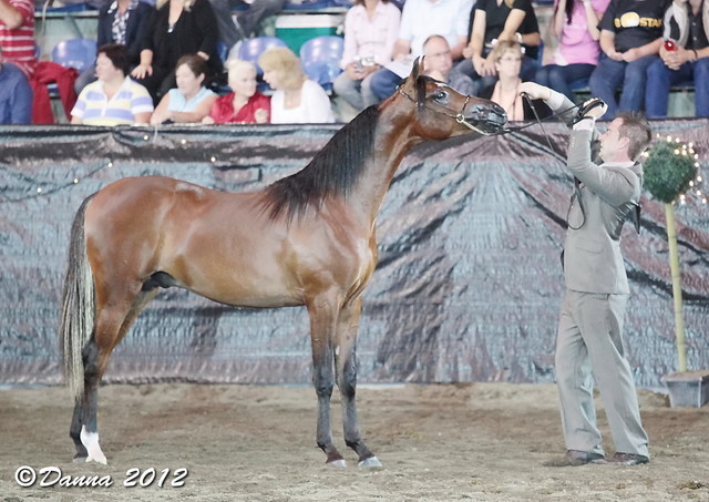 25th East Coast Championship Show - Day 3/ Finals
