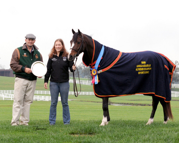 One More Round++// - Ben Flynn, Alexis Doughty and One More Round++//