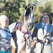 25th East Coast Championship Show - Day 3/ Finals