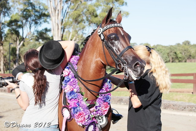 25th East Coast Championship Show - Day 3/ Finals