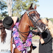 25th East Coast Championship Show - Day 3/ Finals