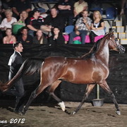 25th East Coast Championship Show - Day 3/ Finals