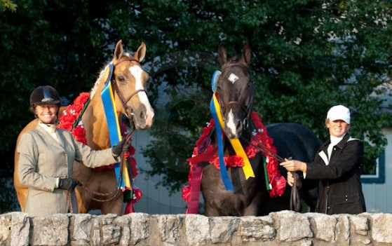 Glitter Bey & Signal Bey - Tammy Woodburn, Glitter Bey, Signal Bey and Laura Wood.