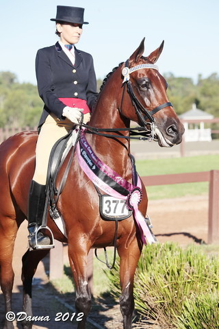 25th East Coast Championship Show - Day 3/ Finals