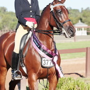 25th East Coast Championship Show - Day 3/ Finals