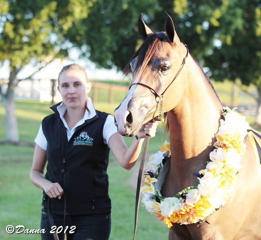 25th East Coast Championship Show - Day 3/ Finals