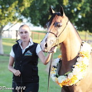 25th East Coast Championship Show - Day 3/ Finals