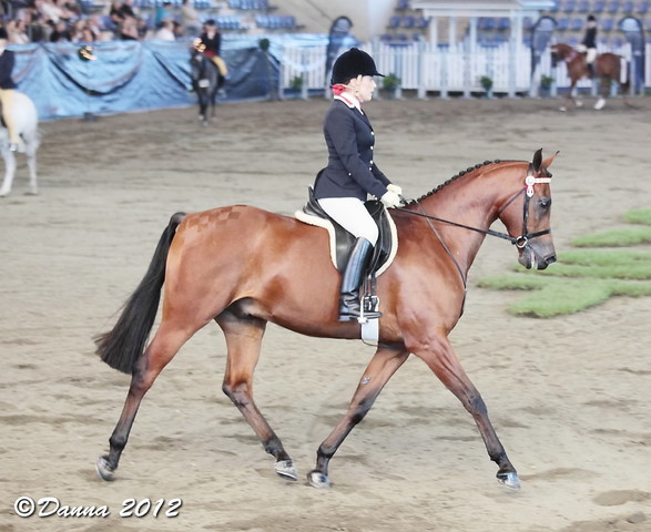 25th East Coast Championship Show - Day 3/ Finals