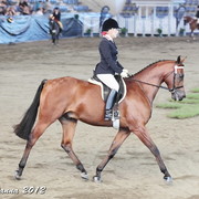 25th East Coast Championship Show - Day 3/ Finals