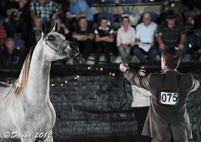 25th East Coast Championship Show - Day 3/ Finals