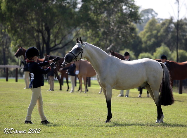 25th East Coast Championship Show - Day 3/ Finals