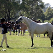 25th East Coast Championship Show - Day 3/ Finals