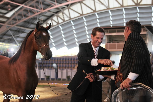 25th East Coast Championship Show - Day 3/ Finals
