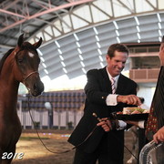 25th East Coast Championship Show - Day 3/ Finals