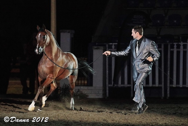 25th East Coast Championship Show - Day 3/ Finals