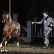 25th East Coast Championship Show - Day 3/ Finals