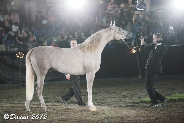 25th East Coast Championship Show - Day 3/ Finals