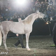 25th East Coast Championship Show - Day 3/ Finals
