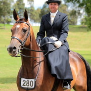 25th East Coast Championship Show - Day 3/ Finals