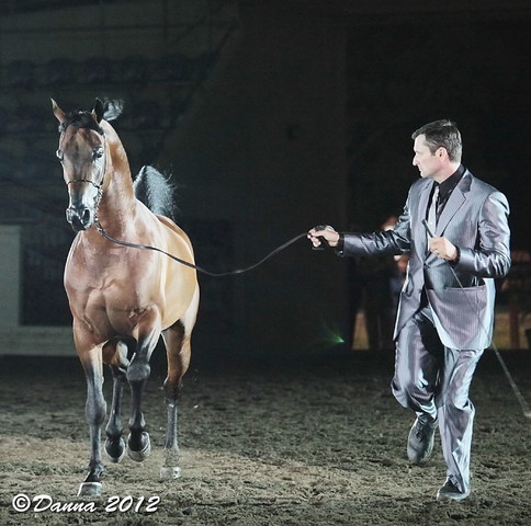 25th East Coast Championship Show - Day 3/ Finals