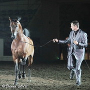 25th East Coast Championship Show - Day 3/ Finals