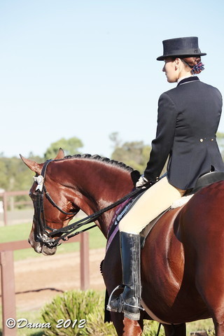 25th East Coast Championship Show - Day 3/ Finals