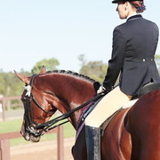 25th East Coast Championship Show - Day 3/ Finals