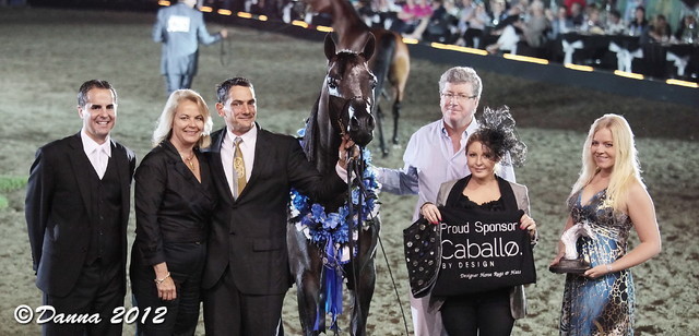 25th East Coast Championship Show - Day 3/ Finals