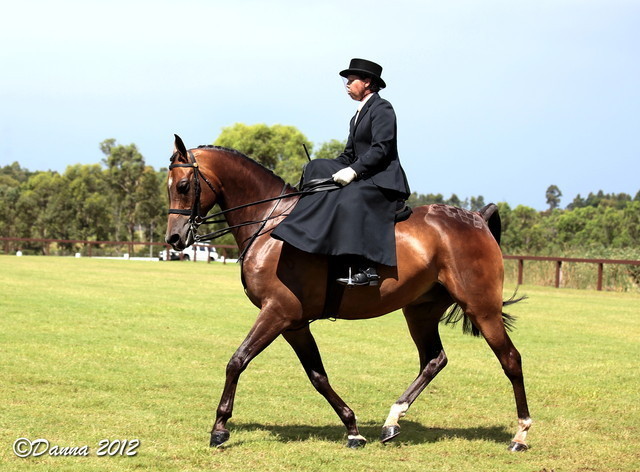 25th East Coast Championship Show - Day 3/ Finals